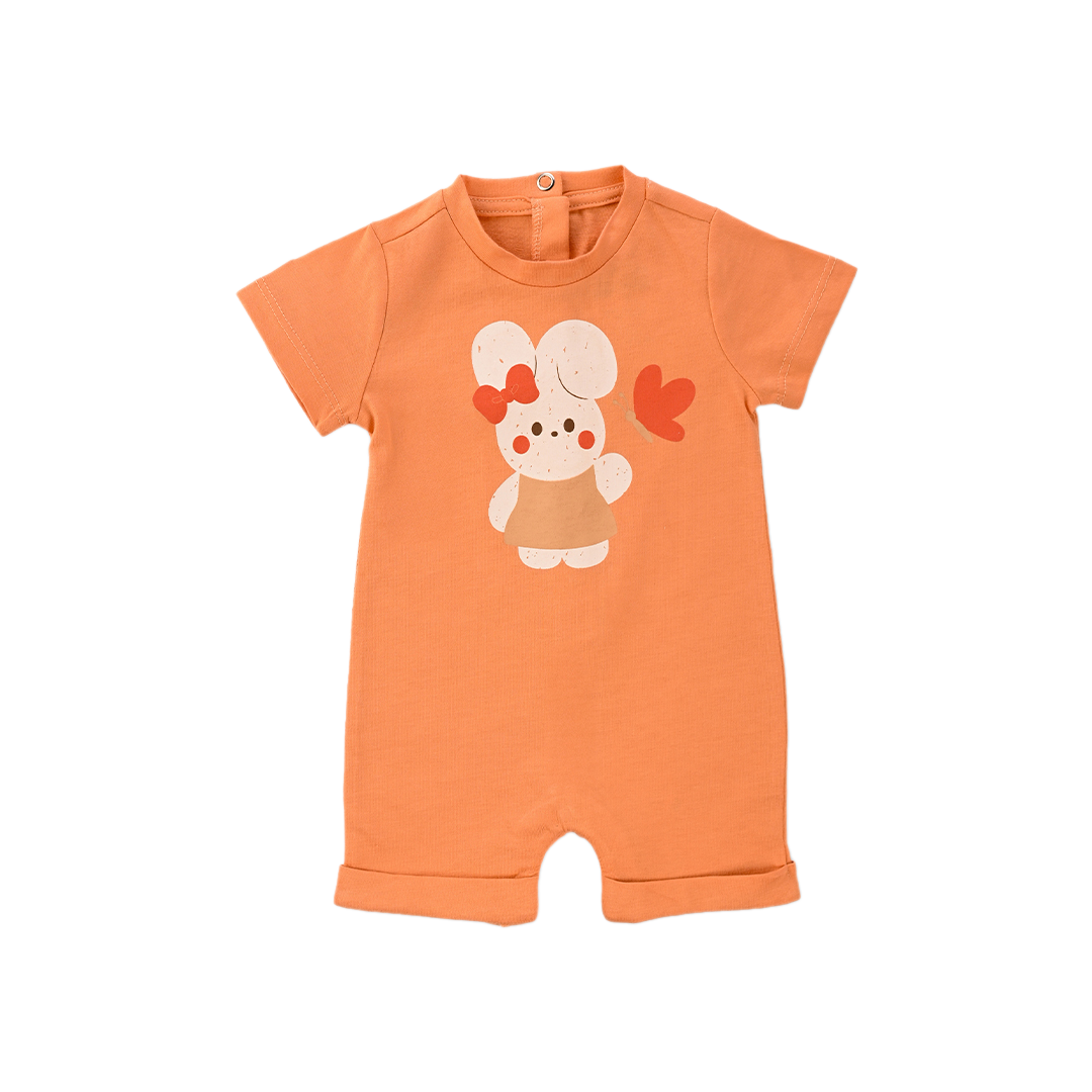 Corn - الصورة 2